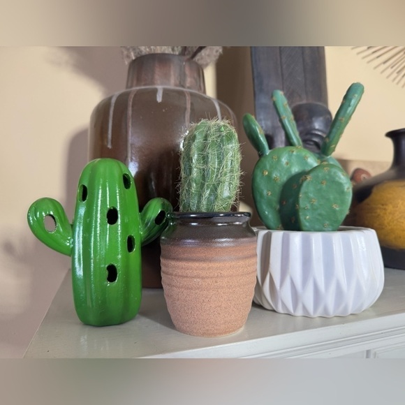 Faux cactus cacti set Decor - Picture 5 of 14